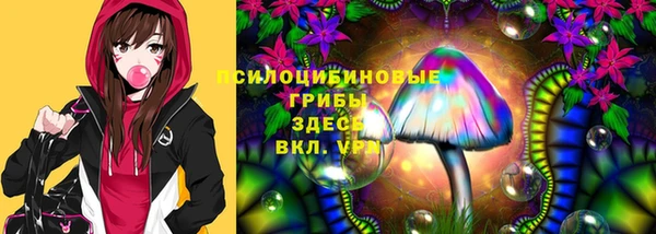 бошки Волосово