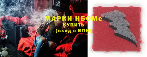 прущие грибы Верея