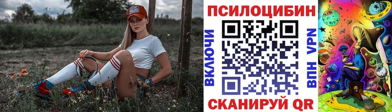 Купить  Лесозаводск  Галлюциногенные грибы Magic Shrooms 
